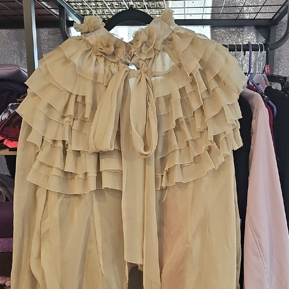 Dream Sheer Ruffle Button Down - Picture 1 of 3